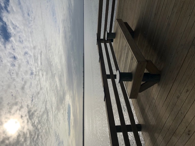 Bench and Rod Holders on Dock